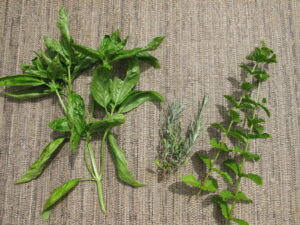herbs acupuncture
