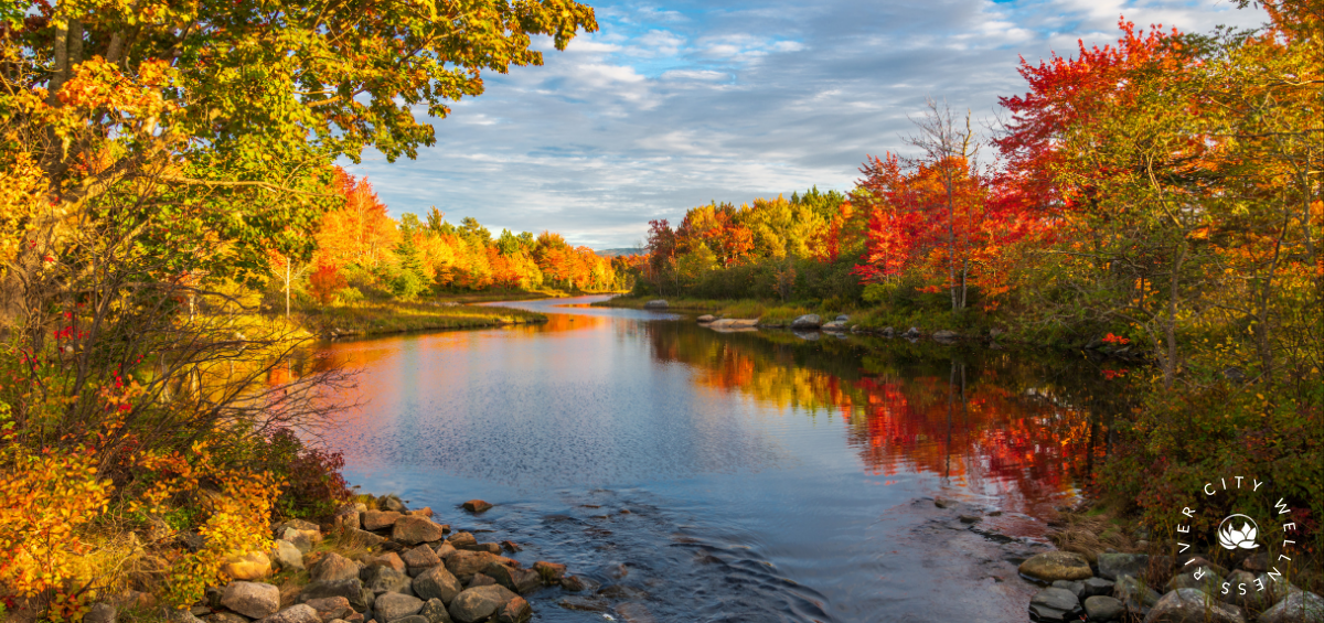 Why We Feel Less Energy in the Fall