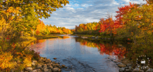 Why We Feel Less Energy in the Fall