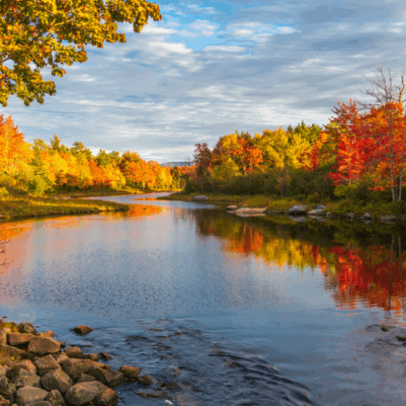 Why We Feel Less Energy in the Fall