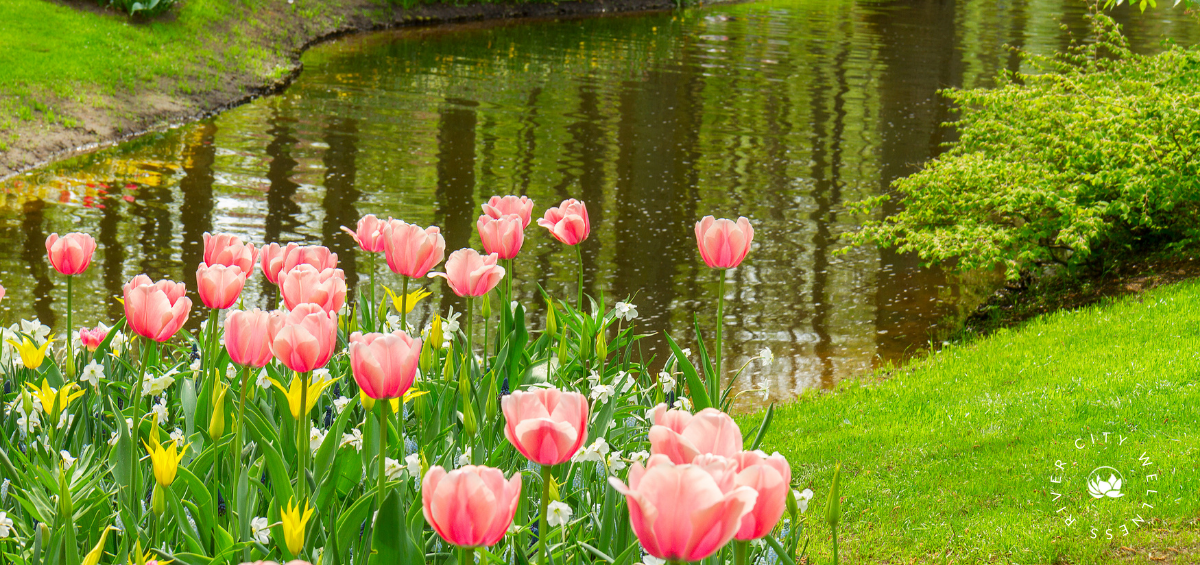 Welcome Spring: A Chinese Medicine Perspective